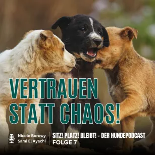 #7 Vertrauen statt Chaos: So gelingt der Einstieg in die Welpenstunde der Hundeschule