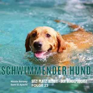 #23 Schwimmender Hund - Instinkt oder Übungssache?