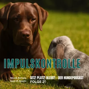 #21 Impulskontrolle – warum Warten so schwer ist