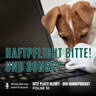 #10 Versicherung für den Hund: Was sinnvoll ist – und was nicht