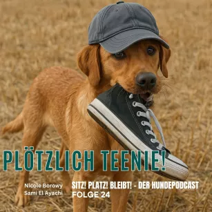 #24 Plötzlich Teenie! Was in der Hundepubertät passiert