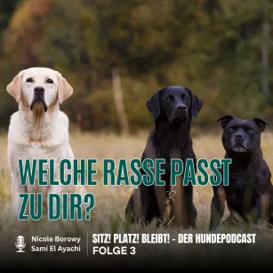 #3 Welche Rasse passt zu dir? Warum der Hundetyp entscheidend ist!