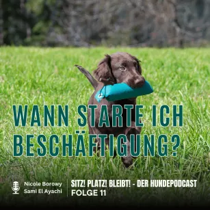 #11 Zu früh, zu viel? Wann starte ich Beschäftigung mit dem Welpen