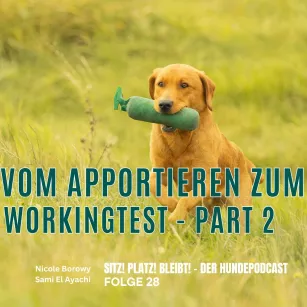 #28 Vom Apportieren zum Workingtest Part 2