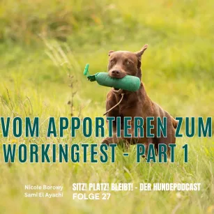 #27 Vom Apportieren zum Workingtest - Part 1