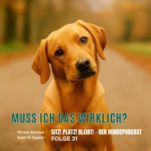 #31 Muss ich das wirklich? - Wenn junge Hunde anfangen Fragen zu stellen