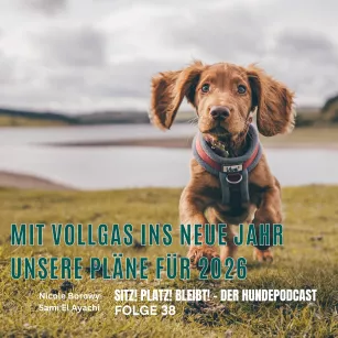 #38 Mit Vollgas ins neue Jahr 