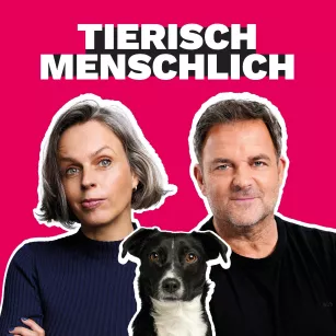 012: Was geschah mit Timmy? Exklusive Sonderfolge mit Dr. Kirsten Tönnies