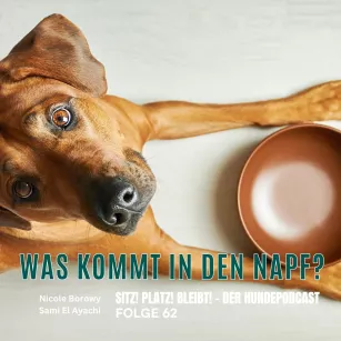 #62 Was kommt in den Napf? Zwischen BARF, Dose und Trockenfutter