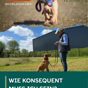 #78 Wie konsequent muss ich sein?