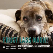 #9 Frust lass nach!