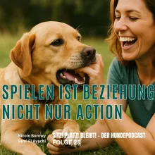 #26 Spielen mit dem Hund – mehr als nur Bälle werfen