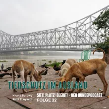 #32 Tierschutz im Ausland