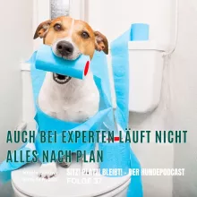 #37 Insta & Co. nicht alles ist so perfekt wie es aussieht