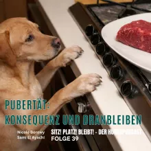 #39 Hund in der Pubertät: Training, Konsequenz und Dranbleiben