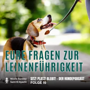 #15 Leinenführigkeit Q&A: Das habt ihr uns gefragt