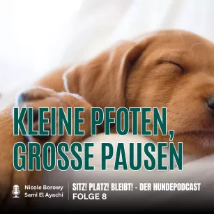 #8 Warum kleine Pfoten große Pausen brauchen
