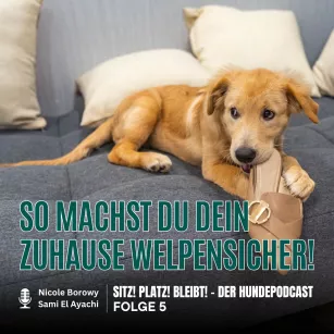 #5 Bist du bereit? So machst du dein Zuhause welpensicher