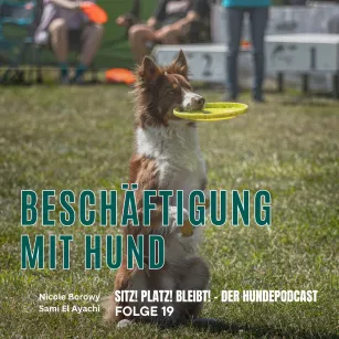 #19 Beschäftigungsarten für Hunde