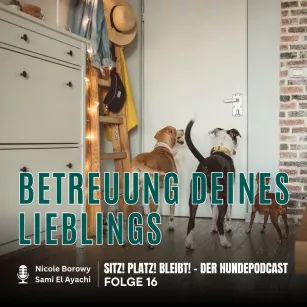 #16 Nachbarn, Hundesitter oder Hundehotel? Wer springt ein, wenn du mal ohne Hund sein musst?