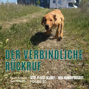 #20 Vom Wohnzimmer ins echte Leben: Der Blick auf den Rückruf