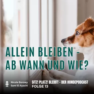 #13 Alleinbleiben – ab wann und wie?