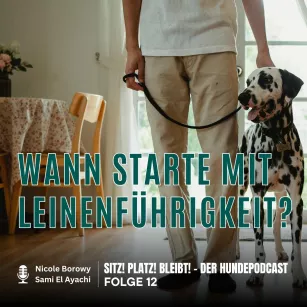 #12 Wenn die Leine zur Verbindung wird – statt zur Zerrprobe