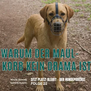#22 Der Maulkorb - Warum er kein Drama ist 