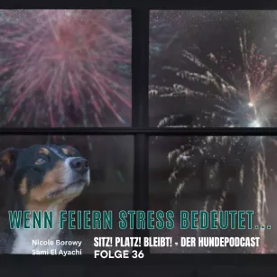 #36 Wenn feiern Stress bedeutet....