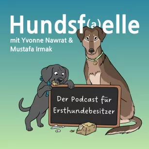 #128 - Vom Tierschutzhund zum Lieblingshund – So gelingt der Weg!