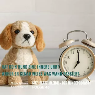 #46 Zufall, Gefühl oder Konditionierung? – Hat dein Hund eine innere Uhr?