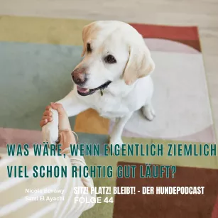 #44 Was wäre, wenn eigentlich ziemlich viel schon richtig gut läuft?