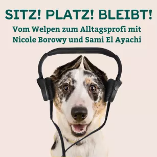 # 71 Der wichtigste Termin im Hundetraining – Warum das Erstgespräch so entscheidend ist