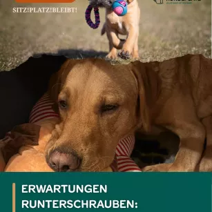 #76 Erwartungen runterschrauben - Dem Hund zuliebe