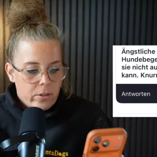 #59 Hundebegegnungen entspannter meistern: Antworten auf eure häufigsten Fragen