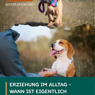 #81 Erziehung im Alltag - Wann ist eigentlich mal Schluss?