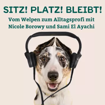 Sitz! Platz! Bleibt! - Coverbild